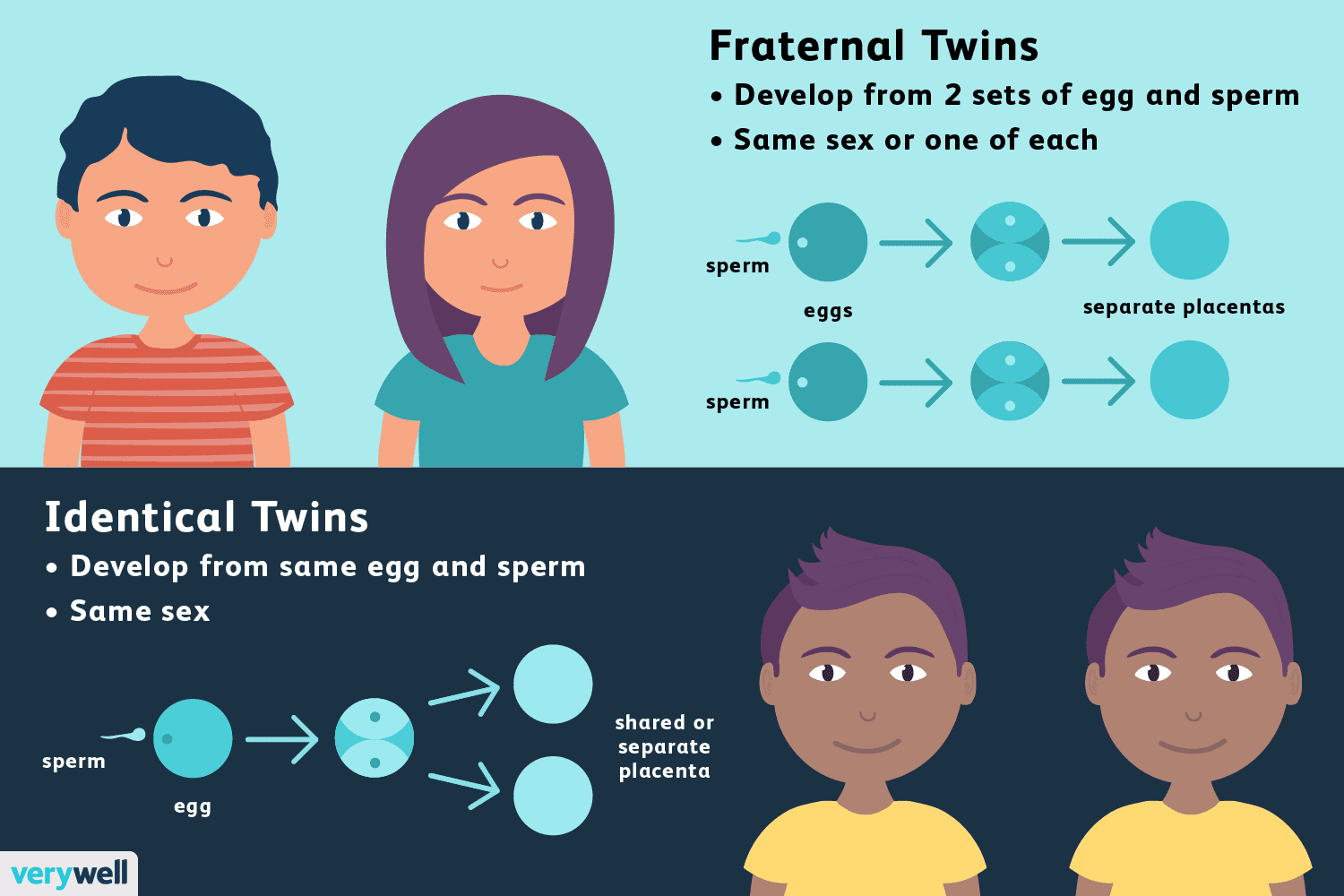 যমজ (Identical Twin)