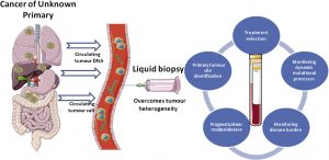 লিকুইড বায়োপসি (Liquid biopsy)