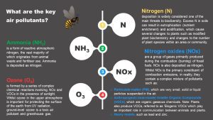 Science Bee Science News