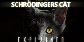 একটি বিড়াল কি একই সময়ে জীবিত এবং মৃত থাকতে পারে?