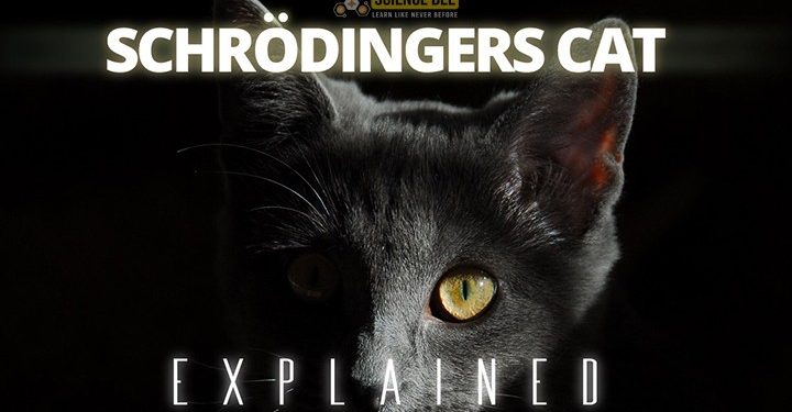 একটি বিড়াল কি একই সময়ে জীবিত এবং মৃত থাকতে পারে?