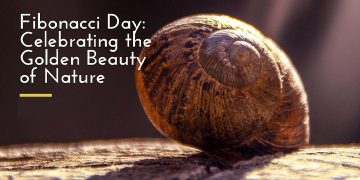 আজ ফিবোনাক্কি দিবস-ফিঙ্গারপ্রিন্ট অফ গড সংখ্যার বিস্ময়!