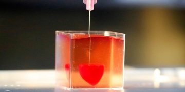 মানব টিস্যু ব্যবহার করে বিশ্বের প্রথম থ্রিডি হার্ট আবিস্কার