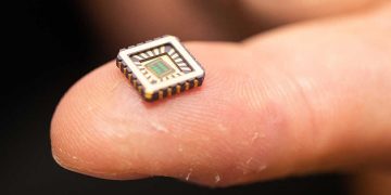 অবশেষে বিজ্ঞানীরা কৃত্তিম মস্তিষ্কের  কোষ আবিষ্কারে সফল হলেন !