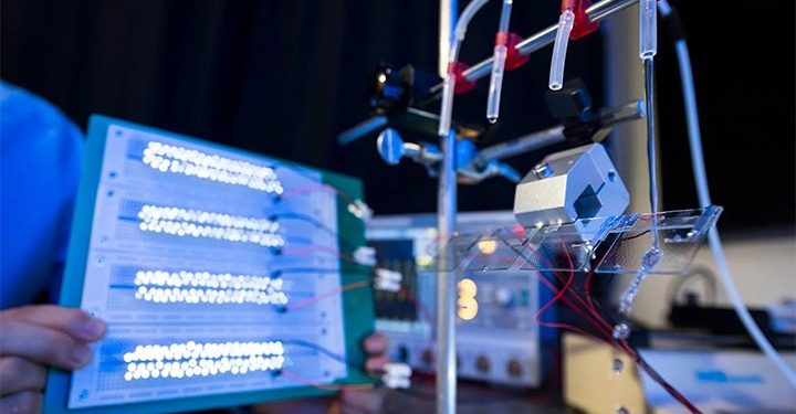 ১ টি বৃষ্টির ফোঁটা থেকে জ্বলবে ১০০ টি LED বাল্ব