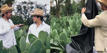 গাছ থেকে তৈরি হচ্ছে টেকসই ও সাশ্রয়ী চামড়া