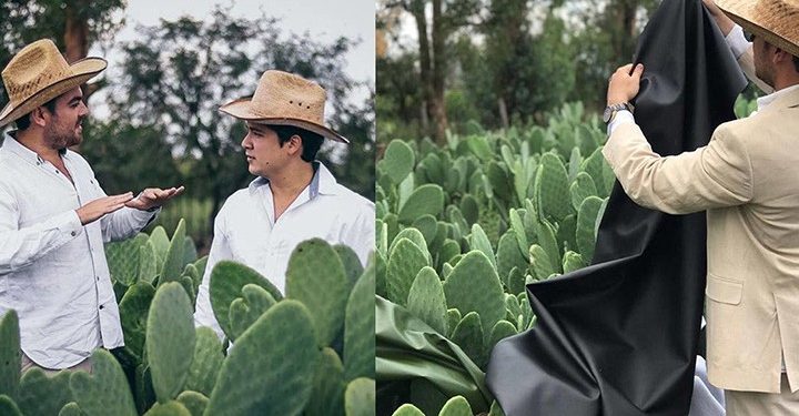 গাছ থেকে তৈরি হচ্ছে টেকসই ও সাশ্রয়ী চামড়া