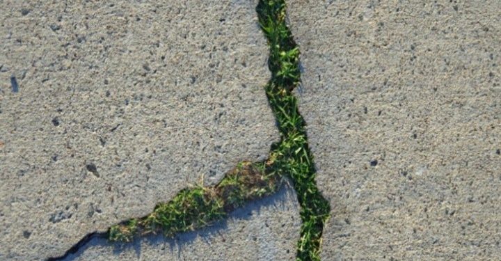 জীবন্ত কংক্রিট