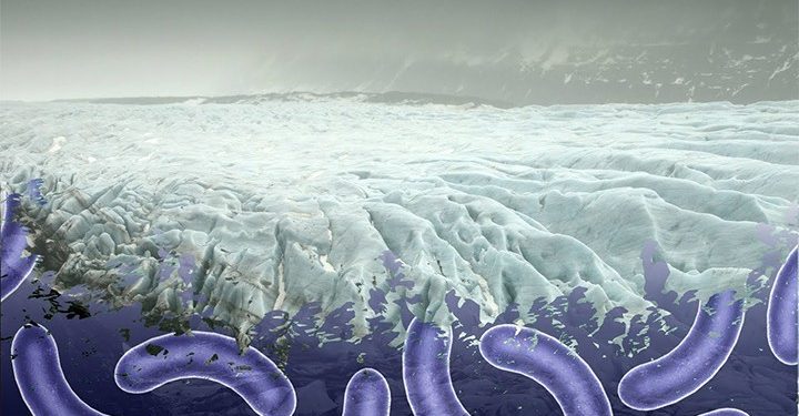 বৈশ্বিক উষ্ণতায় বরফের দেশে জেগে উঠছে ভয়ঙ্কর রোগবাহী ভাইরাস,ব্যাকটেরিয়া