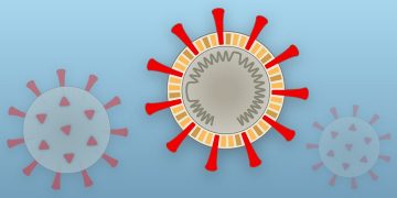 করোনা যেভাবে আপনার শরীরের নিয়ন্ত্রণ নিচ্ছে !(ইন্টারেক্টিভ ডিজাইন সহ)