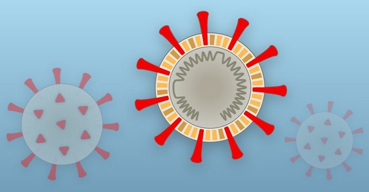 করোনা যেভাবে আপনার শরীরের নিয়ন্ত্রণ নিচ্ছে !(ইন্টারেক্টিভ ডিজাইন সহ)