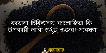 করোনা চিকিৎসায় কালোজিরা কি উপকারী নাকি শুধুই গুজব!-গবেষণা