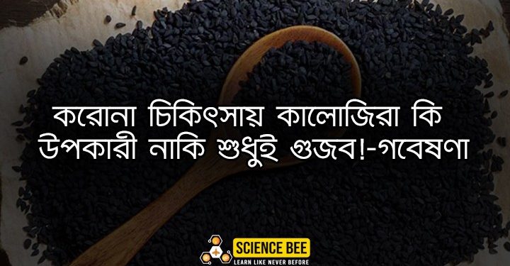করোনা চিকিৎসায় কালোজিরা কি উপকারী নাকি শুধুই গুজব!-গবেষণা