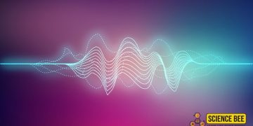 Science Bee | Daily Science