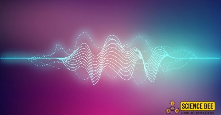 Science Bee | Daily Science