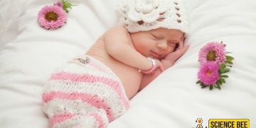 বিজ্ঞান বলছে, নির্ধারিত ঘুমের সময় শুধুমাত্র শিশুদের জন্য নয়!