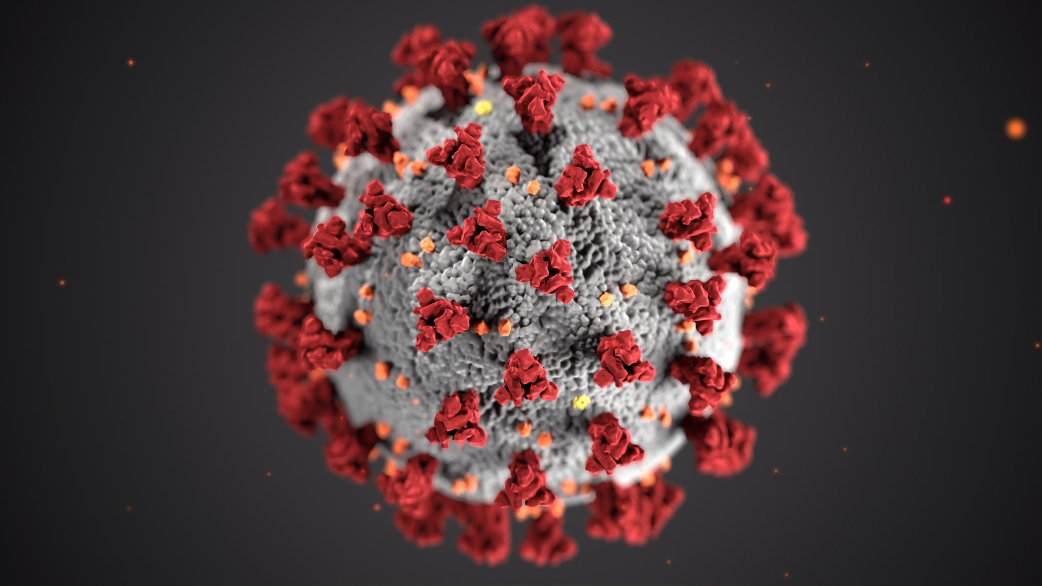 Science Bee | Daily Science
