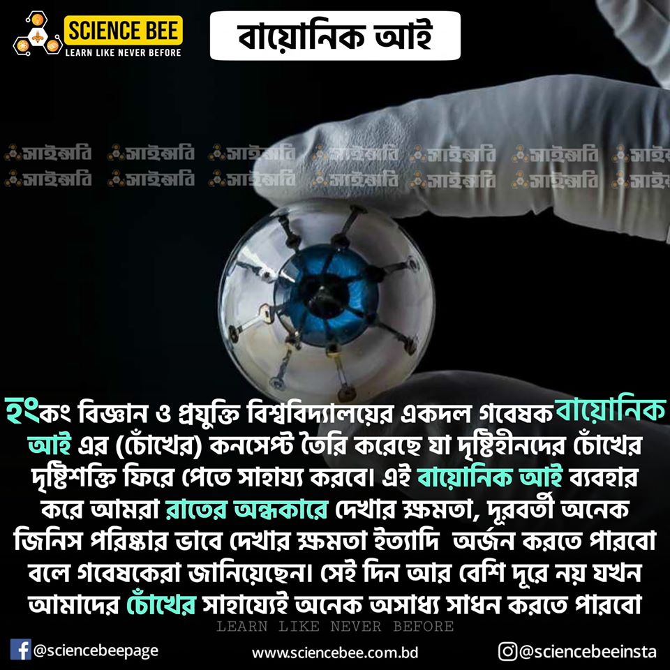 Science bee daily science