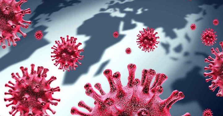 science bee daily science