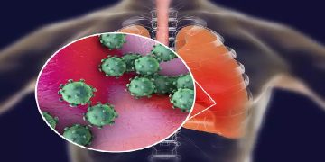 Science Bee Daily science