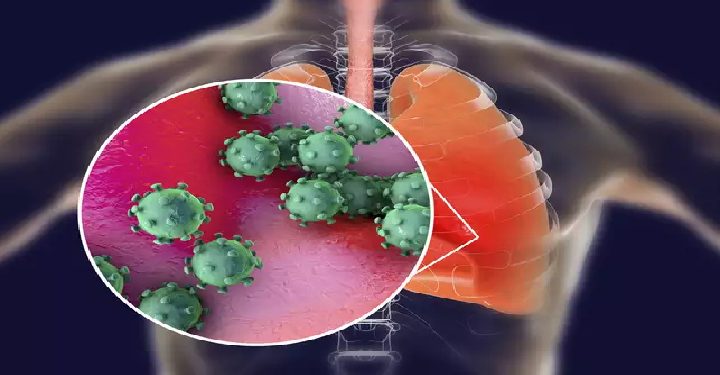 Science Bee Daily science