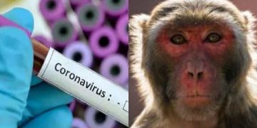 Science bee Daily Science