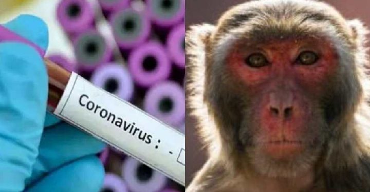 Science bee Daily Science