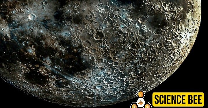 Science Bee। Daily Science