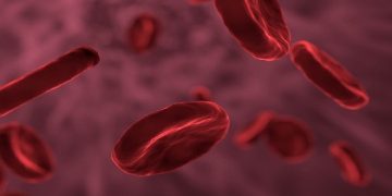 Science Bee Daily Science