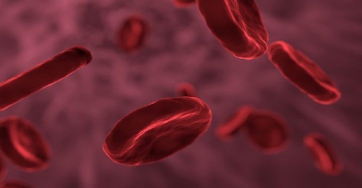 Science Bee Daily Science