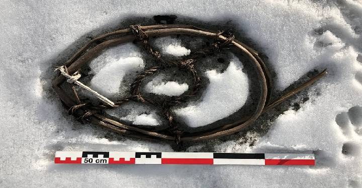 Science Bee Daily Science