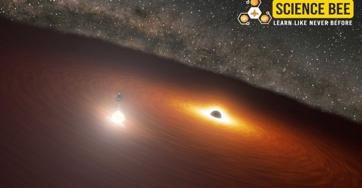 Daily Science | Science Bee