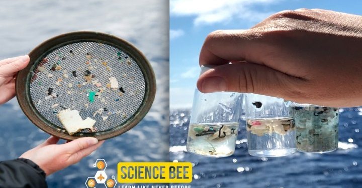 Daily Science | Science Bee