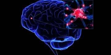 Science Bee Daily science