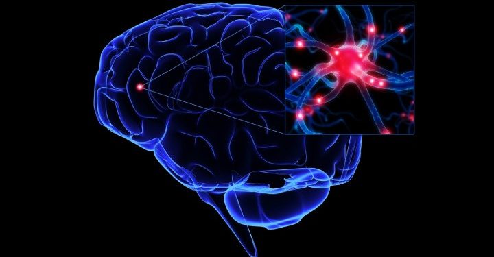 Science Bee Daily science