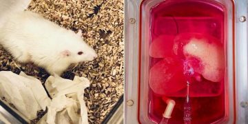 Science Bee Daily Science