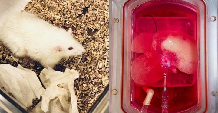 Science Bee Daily Science