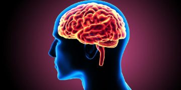 Science Bee Daily Science