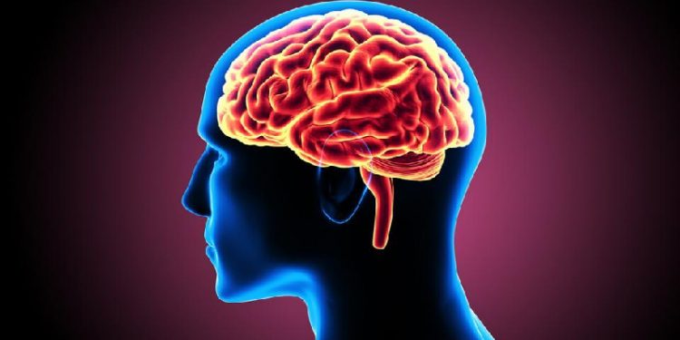 Science Bee Daily Science