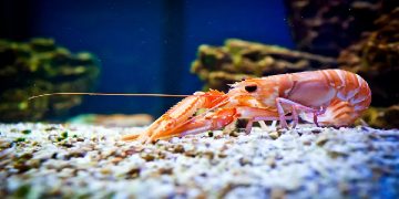 Science Bee Daily Science