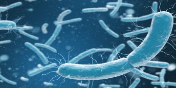 Science Bee Daily Science