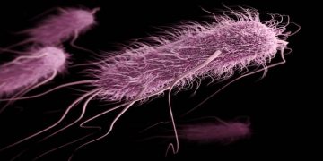 Science Bee Daily Science