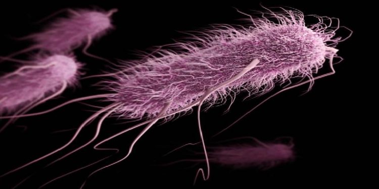 Science Bee Daily Science