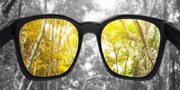 Science Bee Daily Science