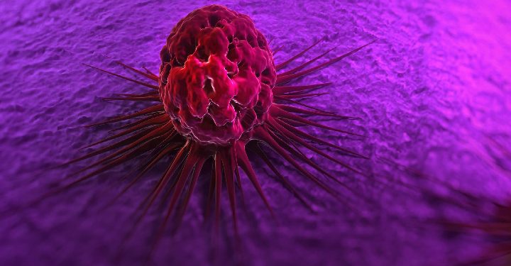 Science Bee Daily Science