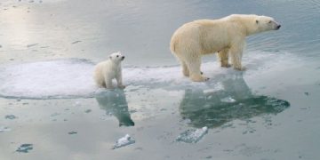 Science Bee Daily Science