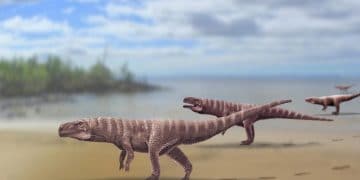 Science Bee Daily Science