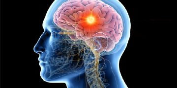 Science Bee Daily Science