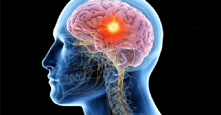 Science Bee Daily Science