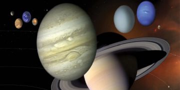 Science Bee Daily Science